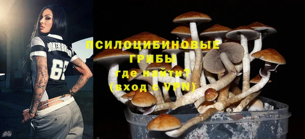 гашиш Богданович