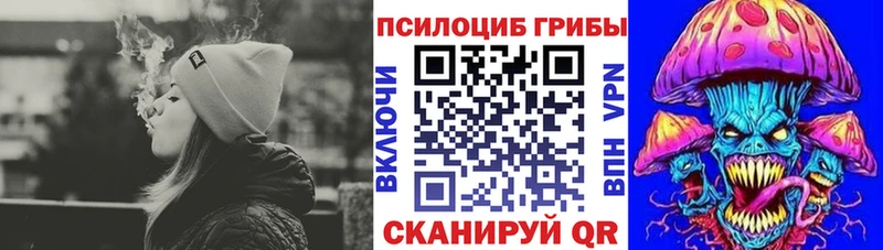 kraken как войти  Дорогобуж  darknet состав  Псилоцибиновые грибы прущие грибы 